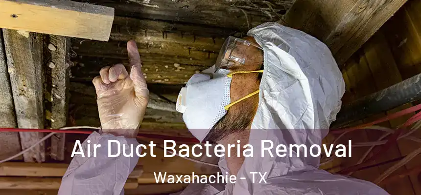  Air Duct Bacteria Removal Waxahachie - TX