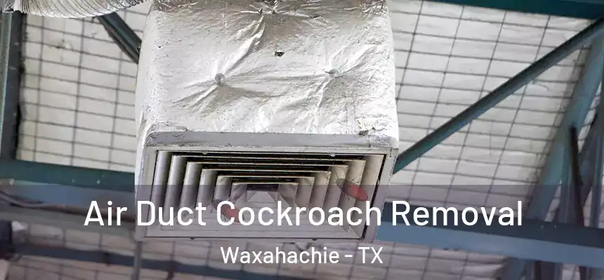  Air Duct Cockroach Removal Waxahachie - TX