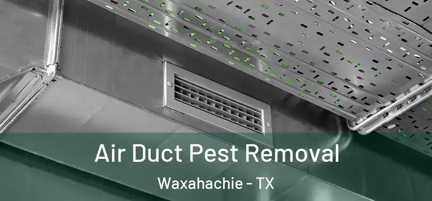  Air Duct Pest Removal Waxahachie - TX