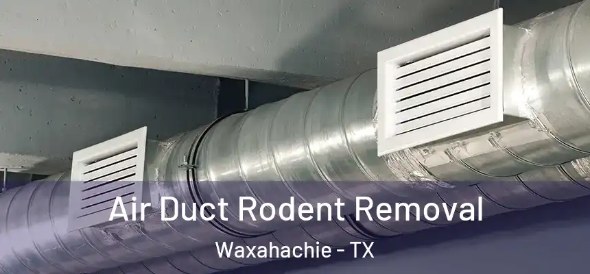  Air Duct Rodent Removal Waxahachie - TX