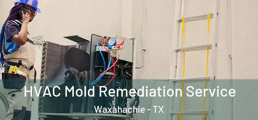  HVAC Mold Remediation Service Waxahachie - TX