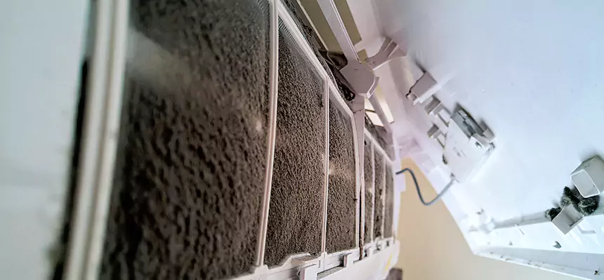 Preventive Air Duct Bacteria Removal in Waxahachie