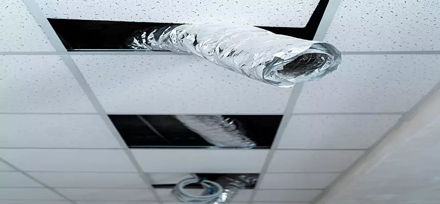 Our Air Duct Pet Hair Removal Services in Waxahachie, TX