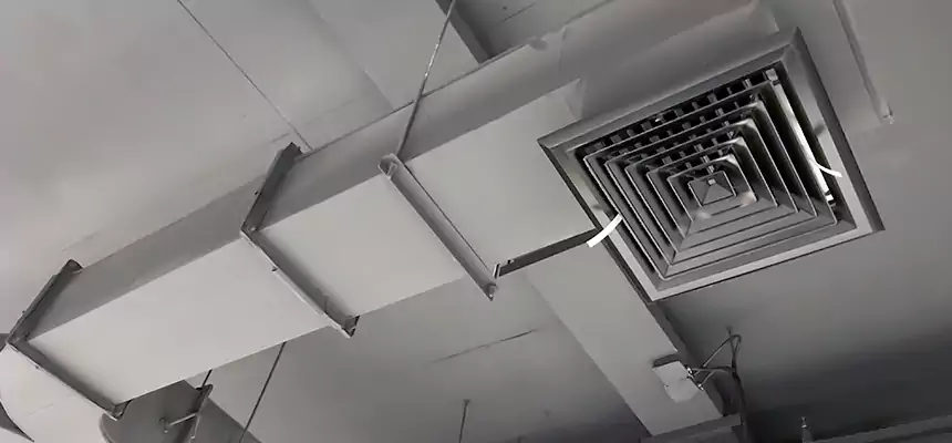 Restorative Allergy Relief Vent Cleaning – Coil, Blower & Housing Detail in Waxahachie