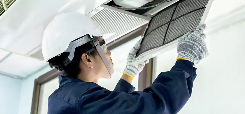 Our Mold & Mildew Removal from Air Ducts Services in Waxahachie, TX