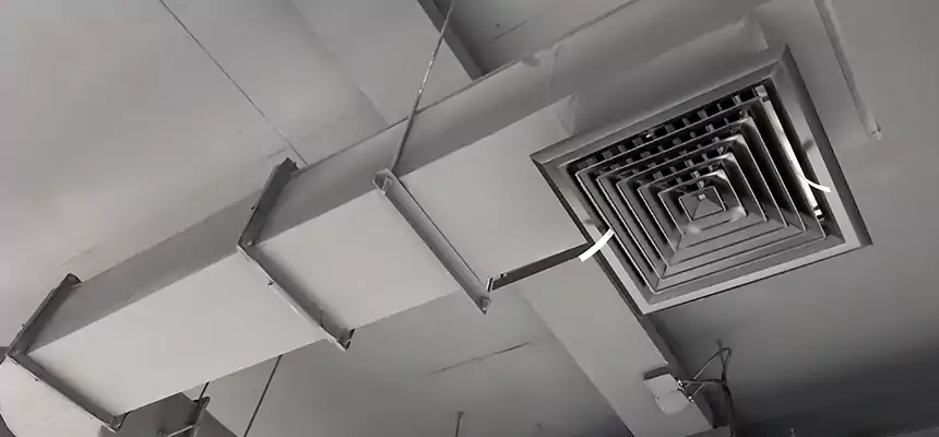 Our Pest Removal From Ducts Services in Waxahachie, TX