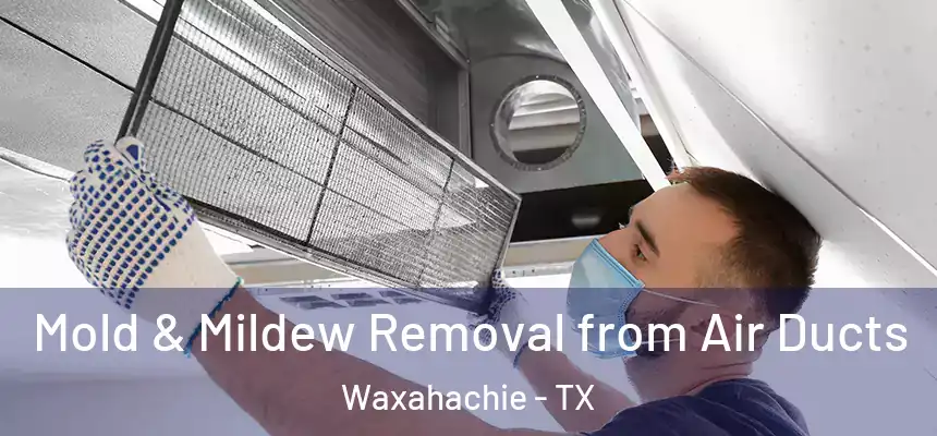  Mold & Mildew Removal from Air Ducts Waxahachie - TX