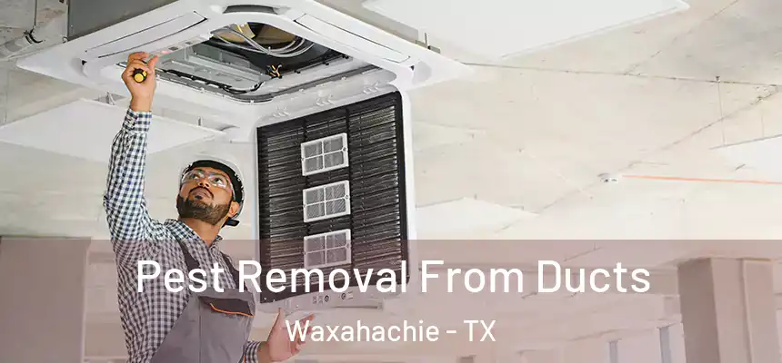 Pest Removal From Ducts Waxahachie - TX