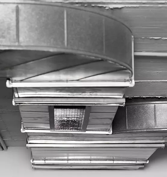 Professional Air Duct Pest Removal in Waxahachie, TX