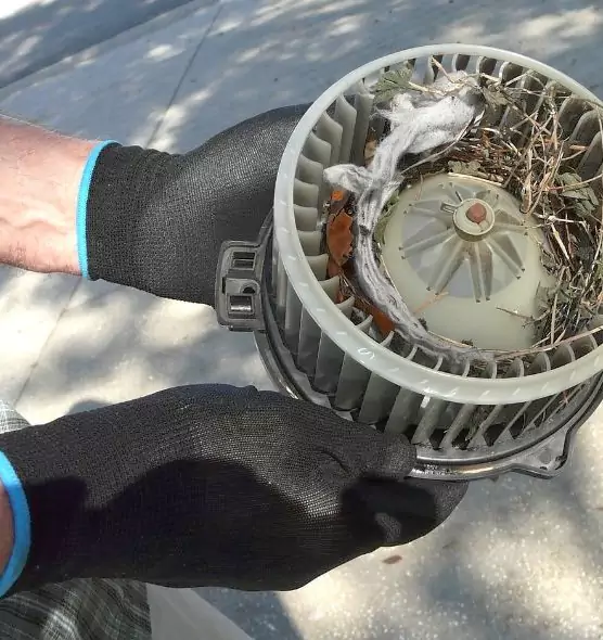 About Air Duct Rat Removal in Waxahachie, TX