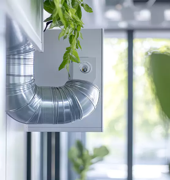 Professional Eco-Safe Dryer Vent Cleaning in Waxahachie, TX