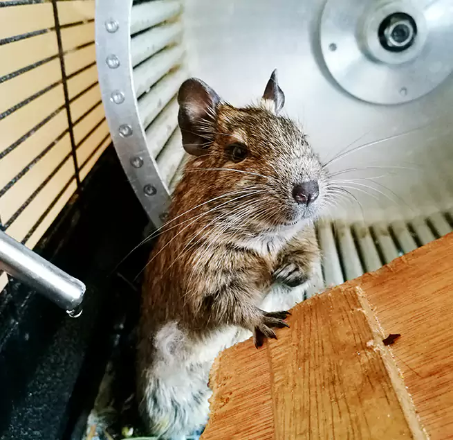 Why Homeowners & Businesses Trust Us Waxahachie, TX