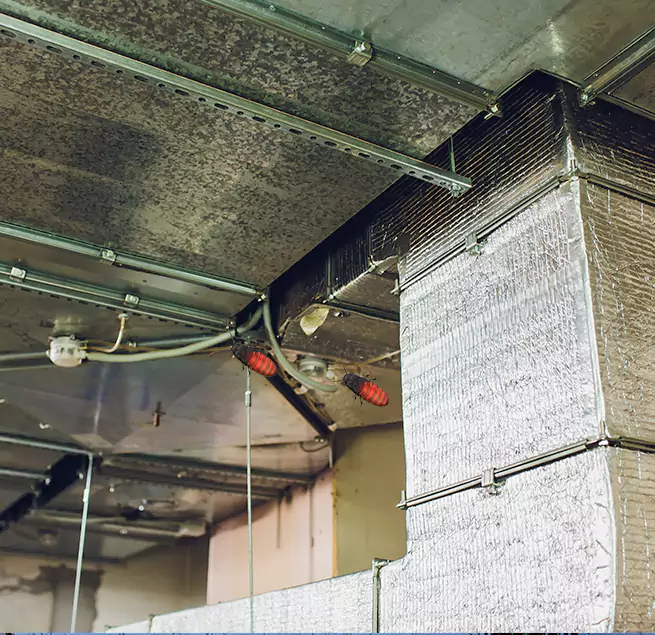 Why Homeowners & Businesses Trust Us Waxahachie, TX?