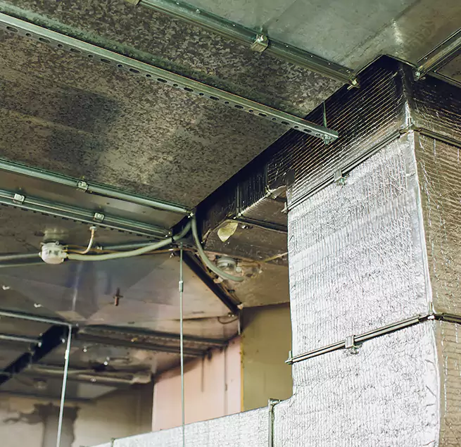 Why Homeowners & Businesses Trust Us in Waxahachie, TX?